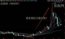 达安基因最新爆料2024,揭秘行业变革与未来趋势