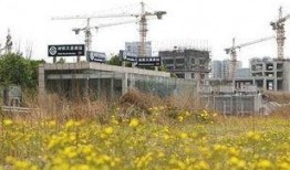 会昌义乌爆料事件最新,真相追踪与网络舆论风暴