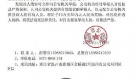 缅北最新爆料消息视频播放,视频曝光惊人内幕