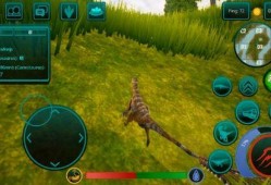 诅咒之岛官方最新爆料,揭秘神秘岛屿的未解之谜与惊悚事件