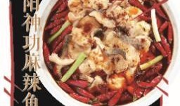 亳州酸菜爆料视频最新,传统美味背后的秘密与传承