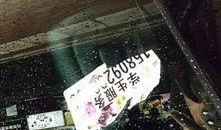 西安雁塔最新爆料,最新爆料带你探秘古都新颜